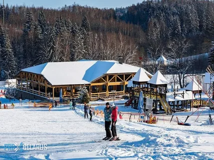 Лыжны паход па заснежаным лесе