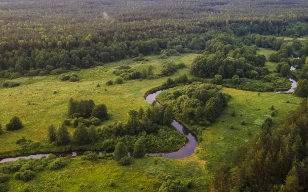 Трэкінг па лесе, што растае, з гідам-біёлагам